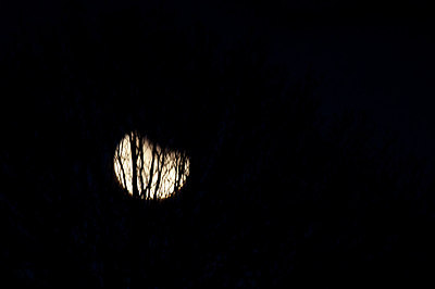 BUITEN BEELD Foto: 158275