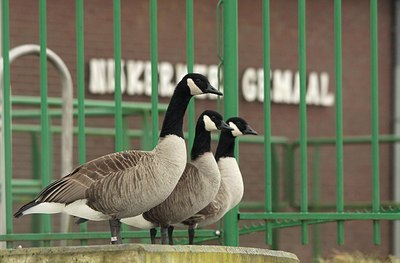 BUITEN BEELD Foto: 158342