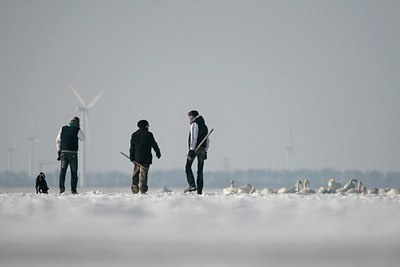 BUITEN BEELD Foto: 158379