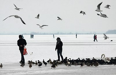 BUITEN BEELD Foto: 158391