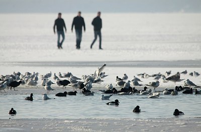 BUITEN BEELD Foto: 158409
