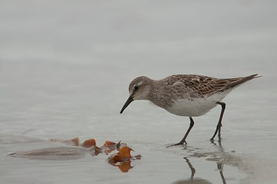 BUITEN BEELD Foto: 158436