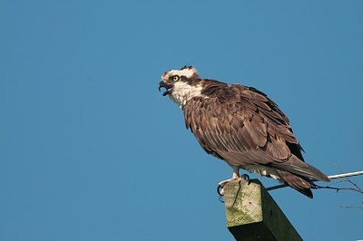 BUITEN BEELD Foto: 158471