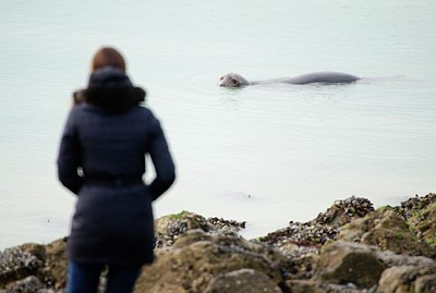 BUITEN BEELD Foto: 158507