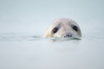 BUITEN BEELD Foto: 158514