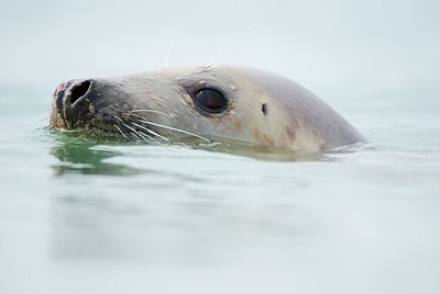 BUITEN BEELD Foto: 158523