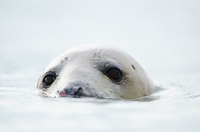 BUITEN BEELD Foto: 158528
