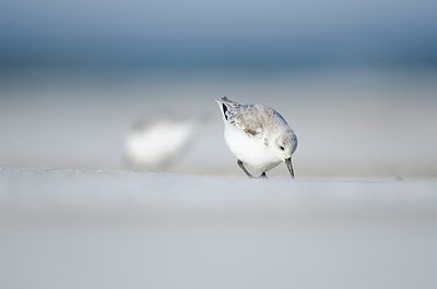 BUITEN BEELD Foto: 158552