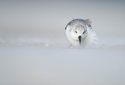BUITEN BEELD Foto: 158562
