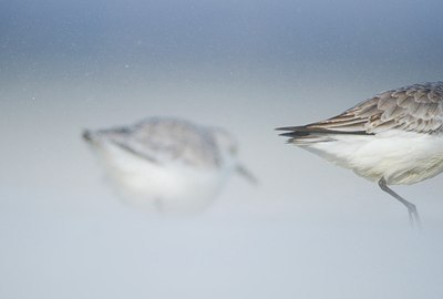 BUITEN BEELD Foto: 158566