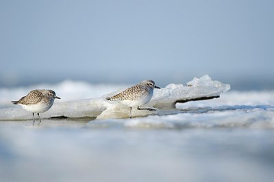BUITEN BEELD Foto: 158569