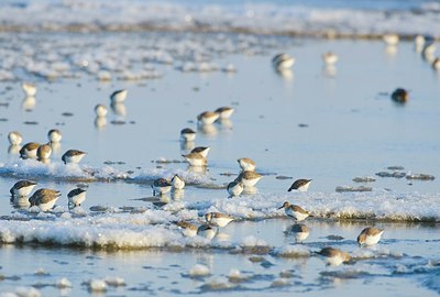BUITEN BEELD Foto: 158596