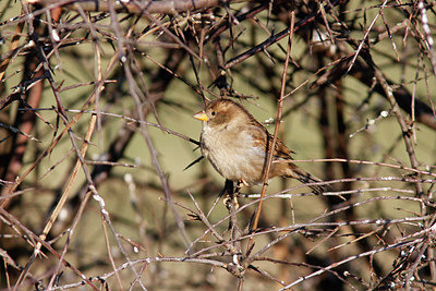 BUITEN BEELD Foto: 158641