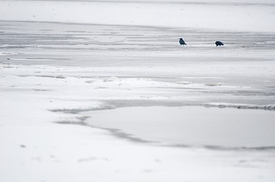 BUITEN BEELD Foto: 158665