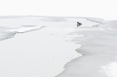 BUITEN BEELD Foto: 158667