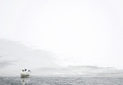 BUITEN BEELD Foto: 158669