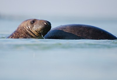 BUITEN BEELD Foto: 158673