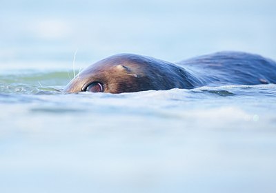 BUITEN BEELD Foto: 158679