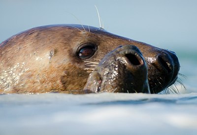 BUITEN BEELD Foto: 158682