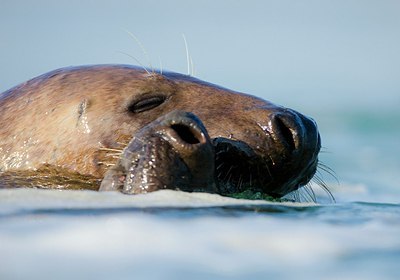 BUITEN BEELD Foto: 158683
