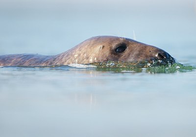 BUITEN BEELD Foto: 158688