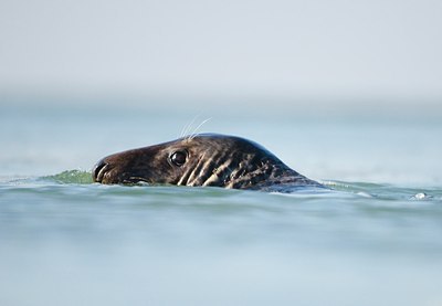 BUITEN BEELD Foto: 158690