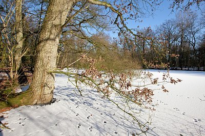 BUITEN BEELD Foto: 158705