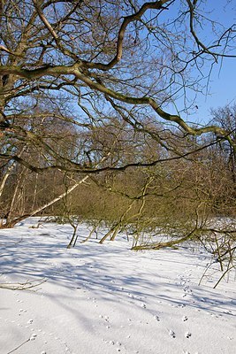 BUITEN BEELD Foto: 158706