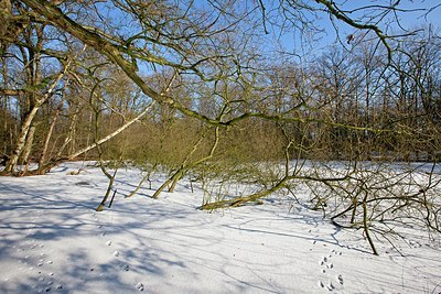 BUITEN BEELD Foto: 158707