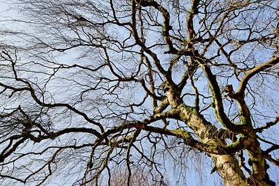 BUITEN BEELD Foto: 158729