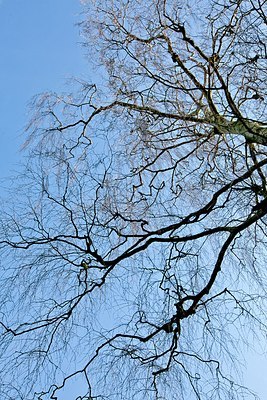 BUITEN BEELD Foto: 158736