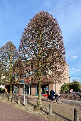 BUITEN BEELD Foto: 158796