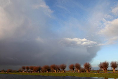 BUITEN BEELD Foto: 158817