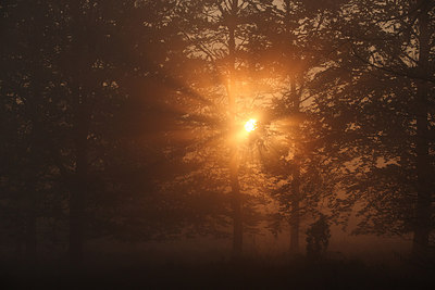 BUITEN BEELD Foto: 158818