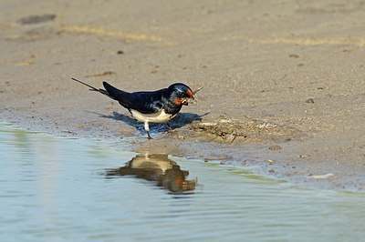 BUITEN BEELD Foto: 158825
