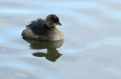 BUITEN BEELD Foto: 158827