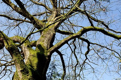 BUITEN BEELD Foto: 158857