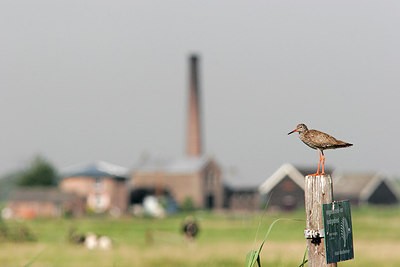 BUITEN BEELD Foto: 158912