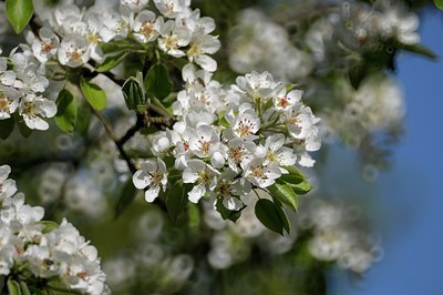 BUITEN BEELD Foto: 158957