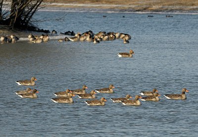 BUITEN BEELD Foto: 158996