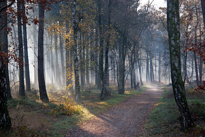 BUITEN BEELD Foto: 15044