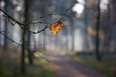 BUITEN BEELD Foto: 15049
