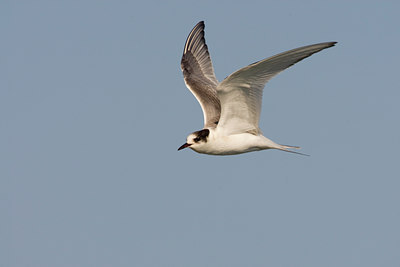 BUITEN BEELD Foto: 15075