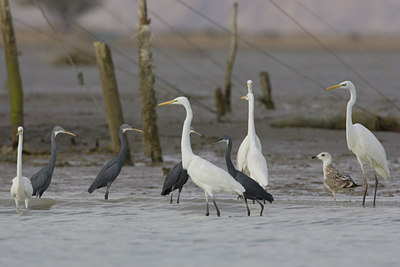 BUITEN BEELD Foto: 15158