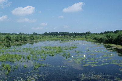 BUITEN BEELD Foto: 15303