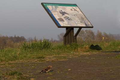 BUITEN BEELD Foto: 15378