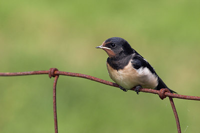 BUITEN BEELD Foto: 15421