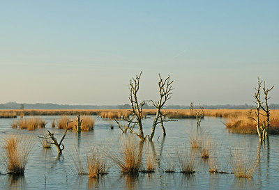 BUITEN BEELD Foto: 15581