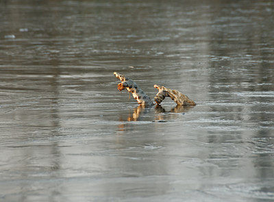 BUITEN BEELD Foto: 15593