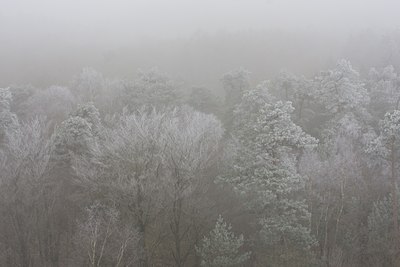 BUITEN BEELD Foto: 15647